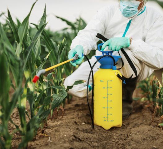 Reducerea expunerii la pesticide: Strategii de diminuare