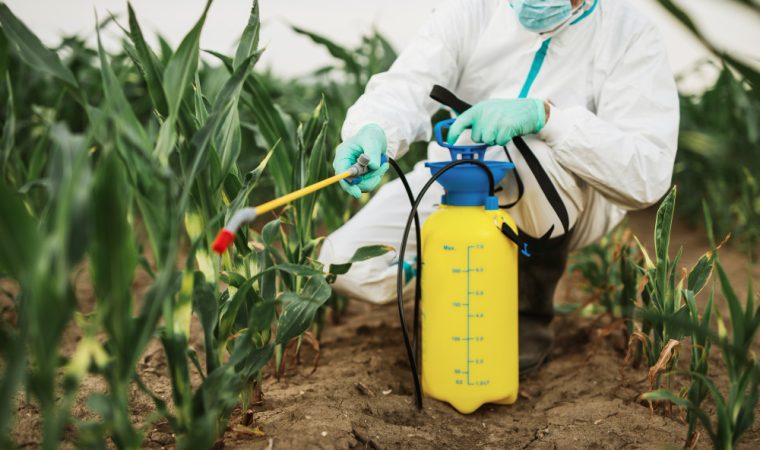 Reducerea expunerii la pesticide: Strategii de diminuare